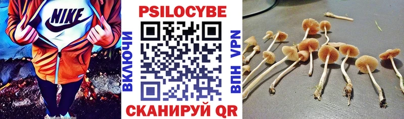 где купить наркотик Нея Псилоцибиновые грибы GOLDEN TEACHER