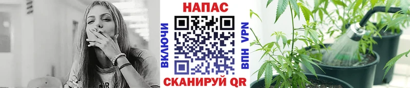 ОМГ ОМГ вход  Нея  Бошки марихуана MAZAR 